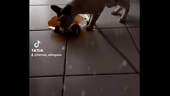 Anita, Wanita Penuh Gairah Yang Menggoda