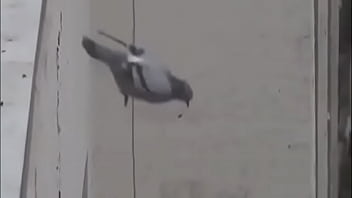 Rola Se Mata Ao Vivo No Instagram: Veja O Momento Em Que Ela Tira A Própria Vida Na Transmissão