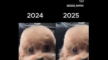 Anjing Cina Yang Liar Dan Menggoda