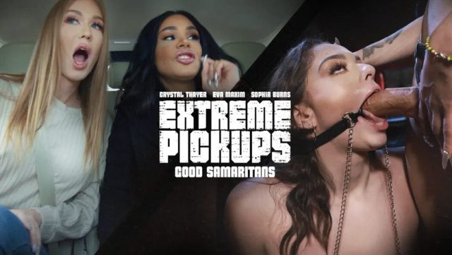 Panggilan Liar: Trio Seksi Eva Maxim, Crystal Thayer, Dan Sophia Burns Membalas Budi Dengan Cara Yang Membara