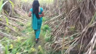 Ngentot Mantap Di Kebun Tebu, Istri Orang Montok Digebukin Sampe Muncrat