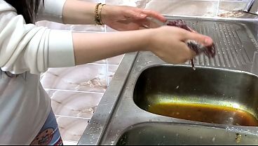 كفيل سعودي ينيك الخادمة المصرية بقوة في غياب زوجته